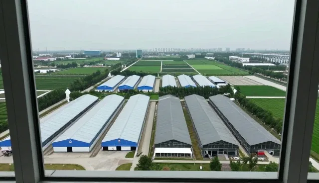 定制服装在不同场景下的性能表现与适用条件
